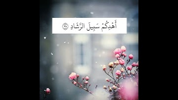 حالات واتس اب قران بصوت احمد العبيد | تلاوة خاشعة | وَقَالَ الَّذِي آمَنَ يَا قَوْمِ اتَّبِعُونِ