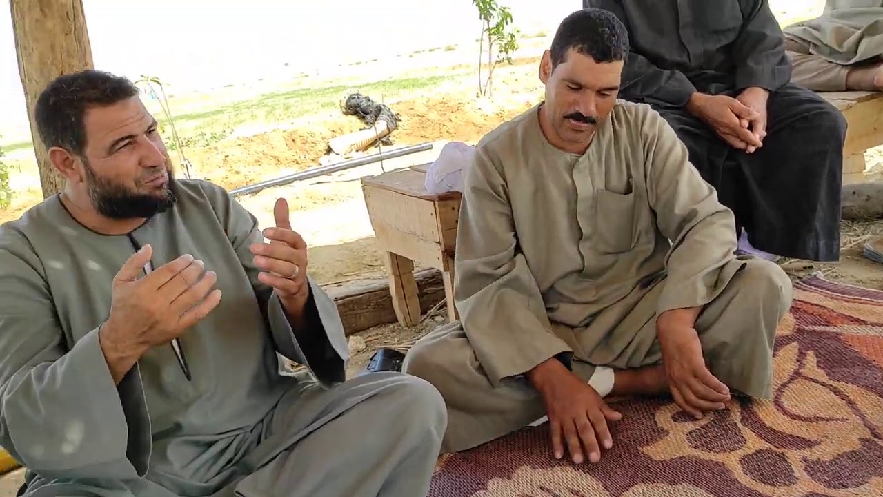 خمسه لزرعتك واسمع اراريه الطماطم والبصل والبسله بني سويف والبحيرة بشركه الفلاح فرافره ت٠١٠٠٨٧٩١٢٨٥