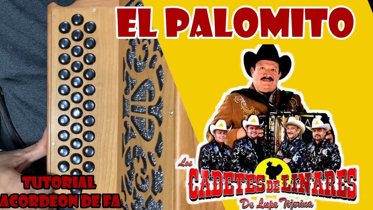 EL PALOMITO CADETES DE LINARES RAMON AYALA ACORDEON TUTORIAL YouTube