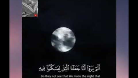 تلاوة خاشعة وآيات مباركة من سورة النمل.📚/القارئ عبدالله الموسى./حالات واتس أب دينية.💞