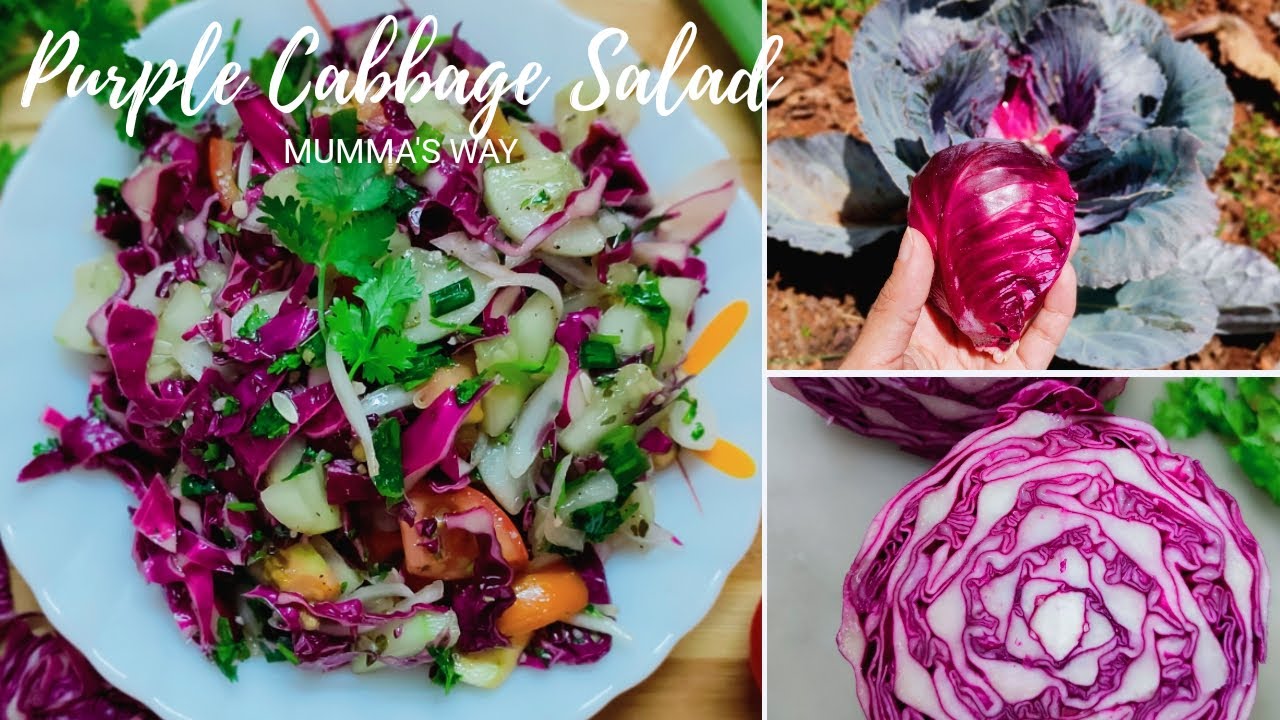 Purple Cabbage Salad Red Cabbage Salad Easy Keto Salad Recipe
