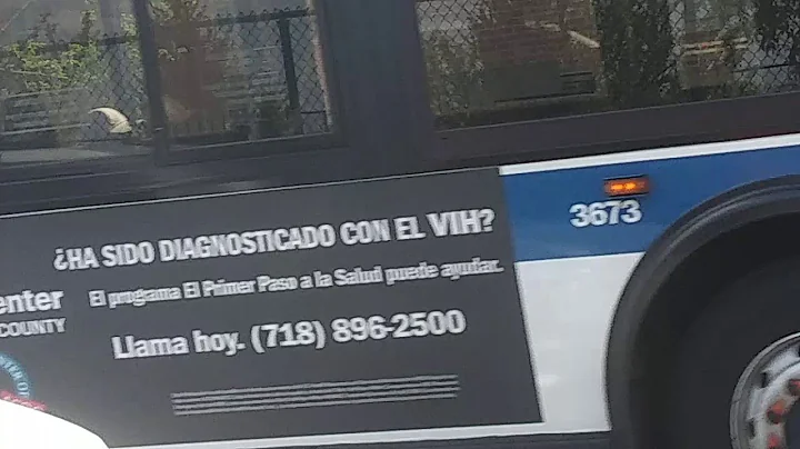 MTA Bus: 2007 Orion VII OG HEV #3673 On The Q22