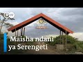 Maisha ndani ya msitu wa Serengeti