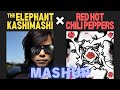 エレファントカシマシ &amp; Red Hot Chili Peppers - Sky Is Blue / Give It Away (Mashup)