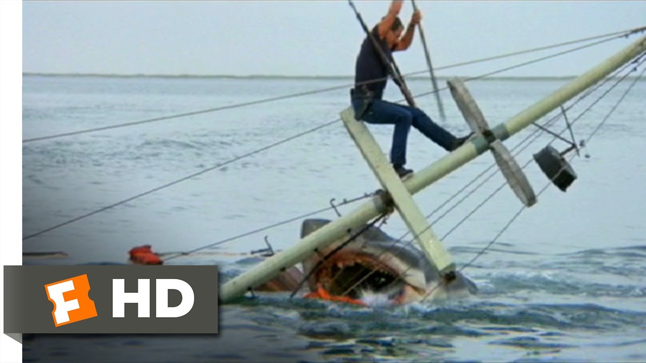 Download Jaws (1975) - Brody Kills the Beast Scene (10/10) | Movieclips