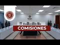 #ReuniónComisiones #Salud #Estudios2.ª | Lunes, 27 de Abril de 2026 17:15 Hrs. | #leg66