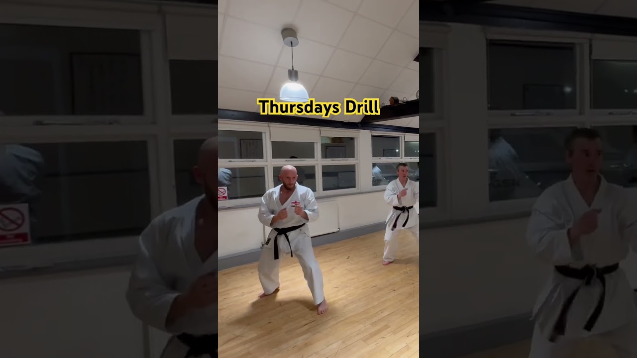 Karate Drill #karate #focus #oss #martialarts #osu #fight #training #karatekid #ippon