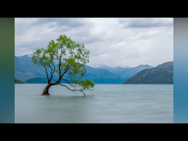 Watch Apprehensive At Best (Audio Stock - FREE To Use) on YouTube Watch Apprehensive At Best (Audio Stock - FREE To Use) on YouTube