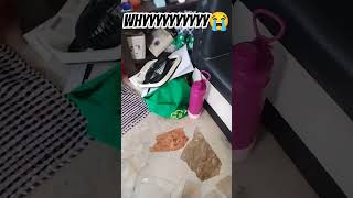 #disappear #fyp #items