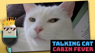 Talking Cat: Cabin Fever