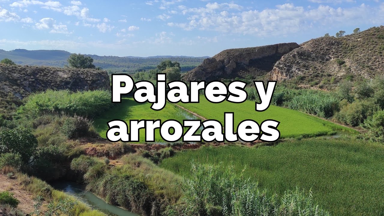 En bici por Pajares y arrozales de Salmerón (Moratalla, Murcia)