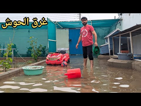 كشتنا في حوش بيتنا بعد امطار جدة الغزيرة