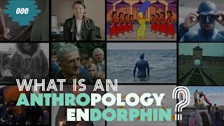 What Is An Anthrodorphin? Anthropology Endorphin