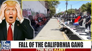 1,300 COPS & ICE Raid LA Gang Compound - Arrests 80 Members  !