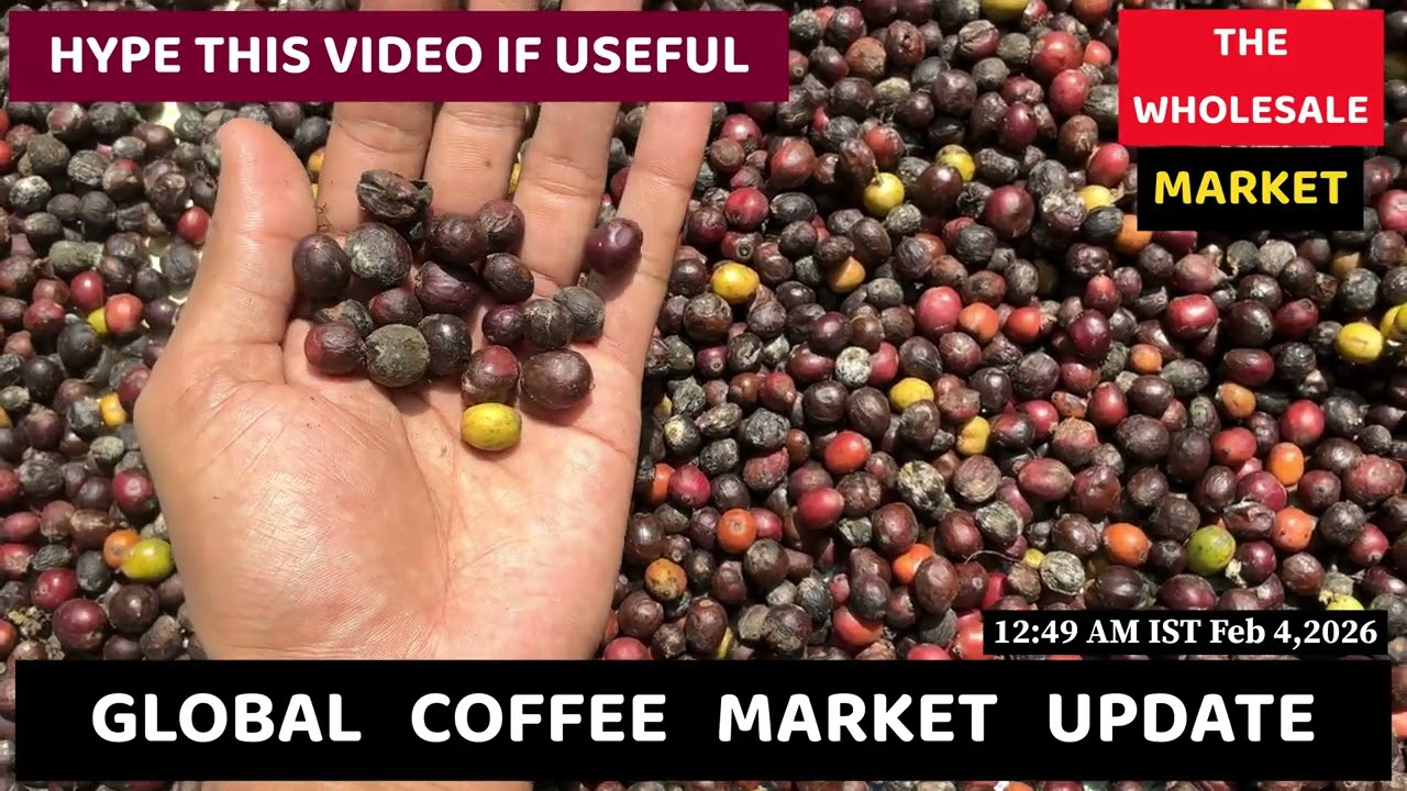 Цены на кофе сегодня резко упали, поскольку дожди в Бразилии улучшили перспективы урожая | Фьючер...