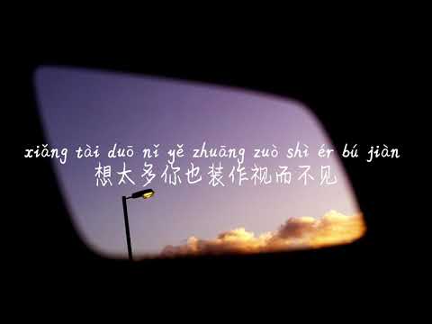 记忆停留 蓝心羽 JI YI TING LIU LAN XIN YU TIKTOK 抖音 틱톡 Pinyin Lyrics 拼音歌词 병음가사 No AD 无广告 광고없음