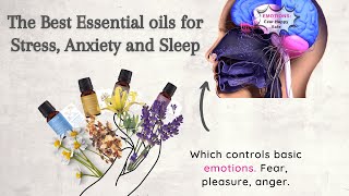 The Best Essential Oils for Stress, Anxiety and Sleep