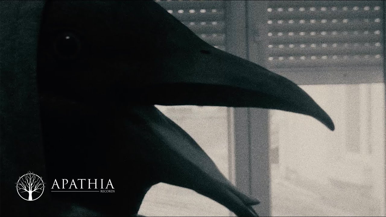 Watch WHEELFALL "Compulsions" (Official Music Video - 2019, Apathia Records) on YouTube Watch WHEELFALL "Compulsions" (Official Music Video - 2019, Apathia Records) on YouTube