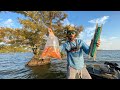Baiting Trees for $500 CATFISH on DRAINING LAKE -- Catch, Clean and Cook!!!  (Surprise Catch!)