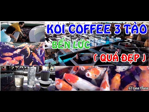 Video Cafe Cá Koi Bến Lức || KOI COFFEE 3 TÀO || Bến Lức -... - youtube