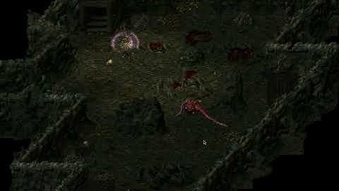 Divine Divinity - Cyrion in Iona