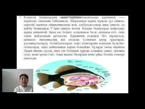 Бейне: Шойын өсімдіктерінің сыртқы күтімі - бақшада шойын зауытын қалай өсіру керек