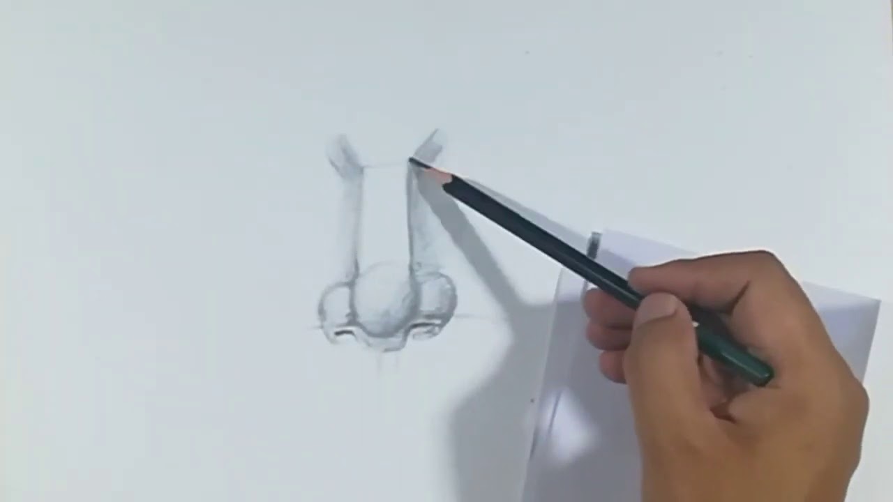 How to Draw nose for beginners - YouTube