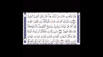 سورة التحريم آية ٤ الشيخ يوسف نوح #القرآن_الكريم#quran 🕊️