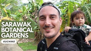 MUST VISIT IN KUCHING: Sarawak Botanical Gardens
