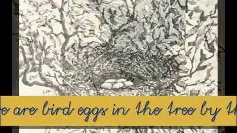 c 0-20 Video Lesson XX: Review. - McGuffey