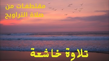 تلاوة  في قمة الخشوع | يا بني اركب معنا