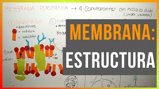 Estructura de la Membrana Plasmática