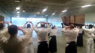 Aikido as a healing art