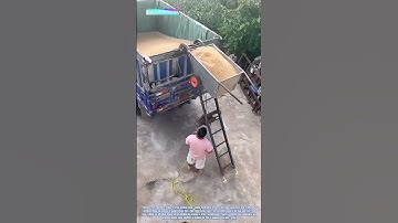 Efficient Grain Loading: Transforming Wheat with a Simple Lifting Tool