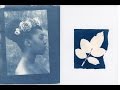 Making Cyanotypes at Home