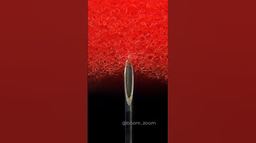 Syringe & Sponge ASMR: The Science of Tingles