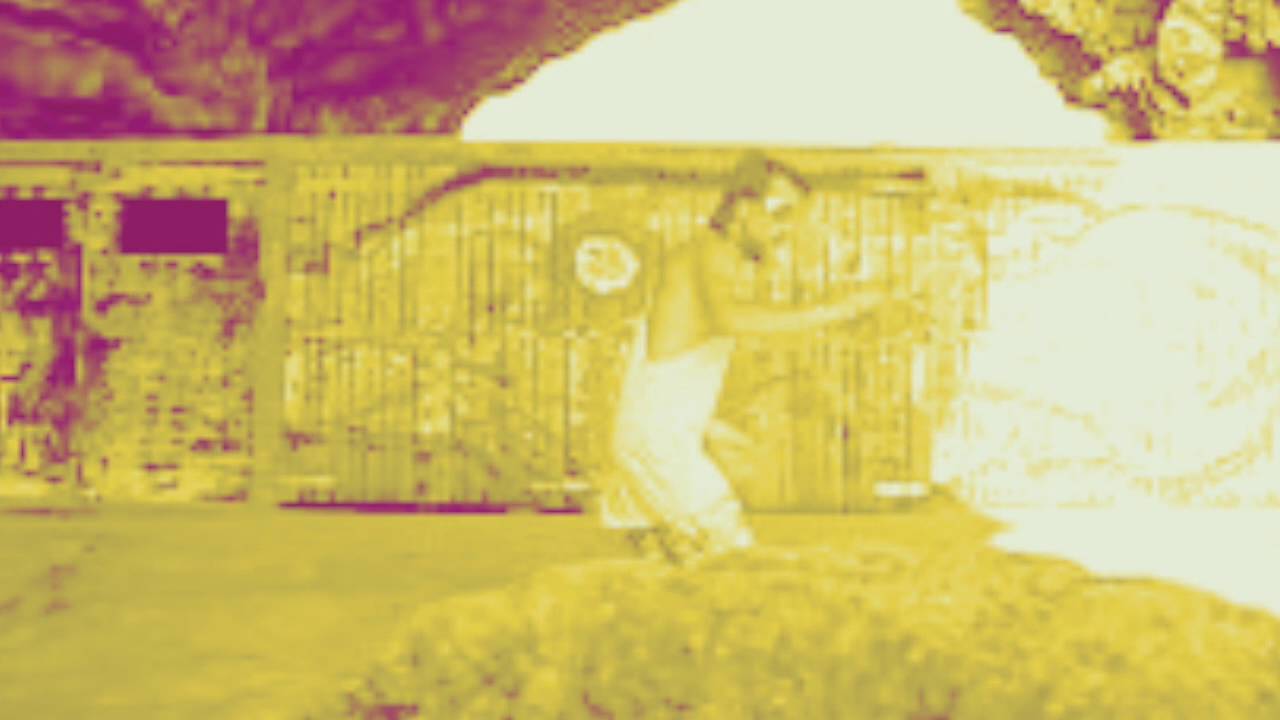 Black Veg Deep House 432 Hz Punk Buddha Clown