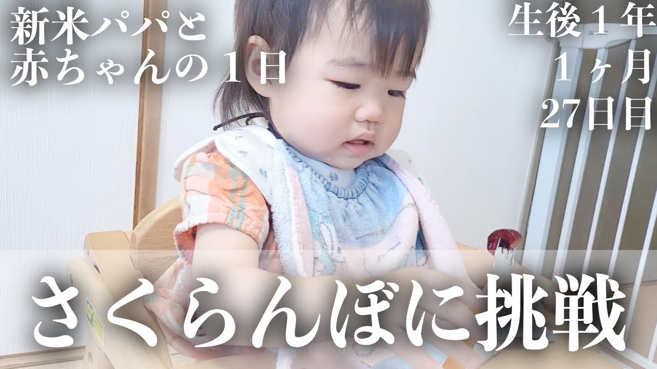 【中古】 子育ての理由 かわいい赤ちゃん／面倒な赤ちゃん/丸善プラネット/中谷勝哉 中古】 子育ての理由 かわいい赤ちゃん／面倒な赤ちゃん/丸善