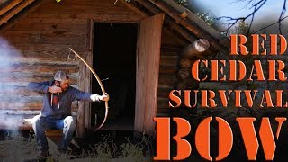 How to Build a primitive sinew backed cedar survival bow