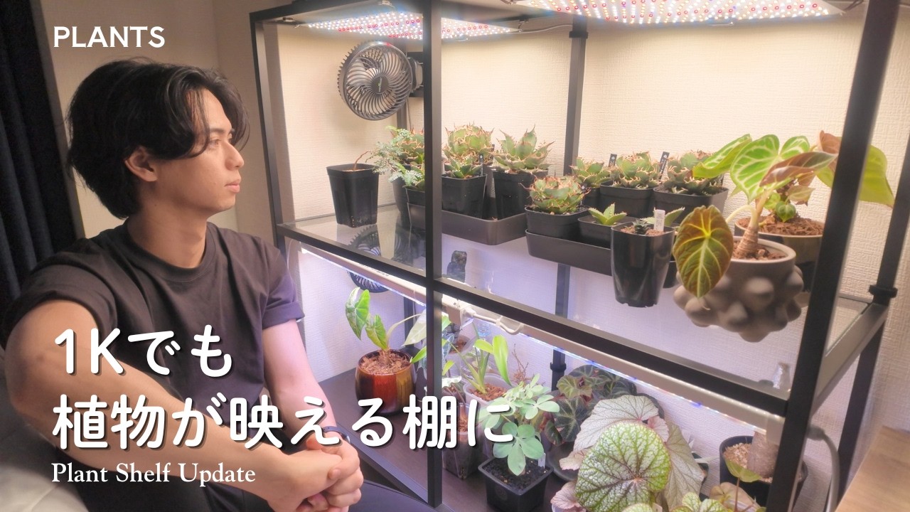 1Kでも植物が映える棚を作りたい｜植物棚アップデート - YouTube