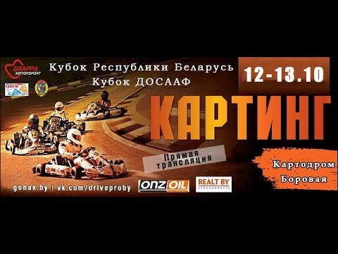 Кубок Республики Беларусь и Кубок ДОСААФ по картингу 2019.