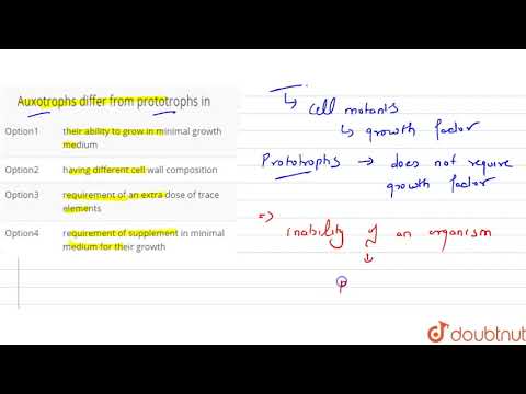 Video: Rozdíl Mezi Auxotrophs A Prototrophs