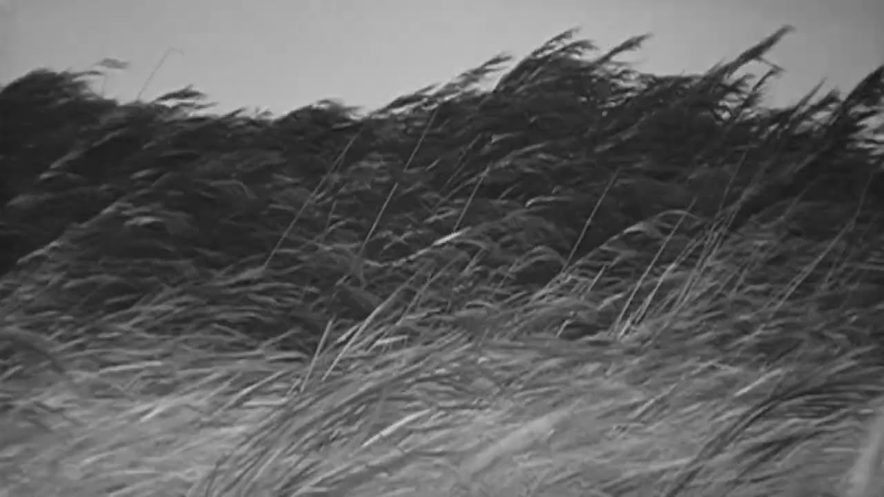 Mylène Farmer - À quoi je sers (echo + slowed)