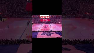 Live game experience - Maple Leafs vs. Boston Bruins game 6 #shorts #hockey