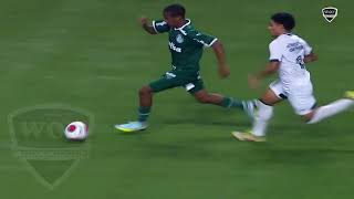 ESTEVÃO Willian Messinho | Welcome To Chelsea 2024 🔵 Crazy Goals, Speed & Skills In Palmeiras (HD)