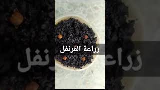 هل جربت هذه الطريقة من قبل عبر عن رأيك في التعليقات هل سوف تنجح زراعتها ام لا القرنفل