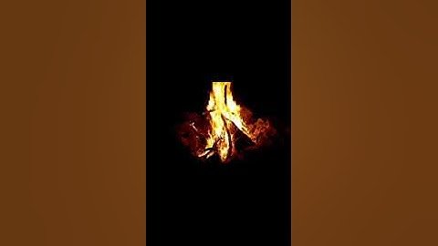 سورة الفاتحة و جزء من سوره القيامه للقارئ زيد بدوي