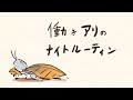 働きアリのナイトルーティン。