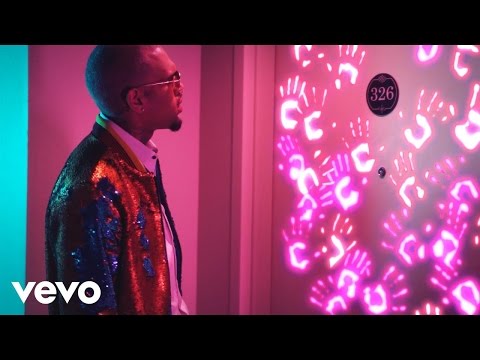 Chris Brown - Privacy (Explicit Version) 