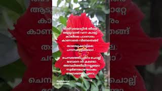 chembarathipoove... | ചെമ്പരത്തിപ്പൂവേ... #malayalamsongs #love #youtubeshorts